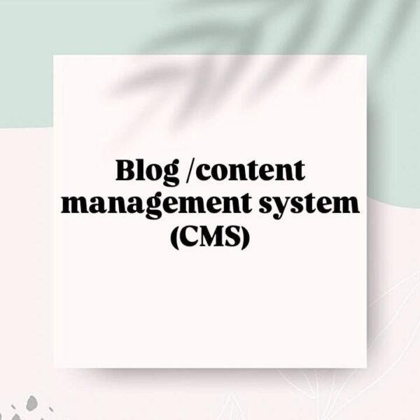 Blog/Content Management System (CMS)